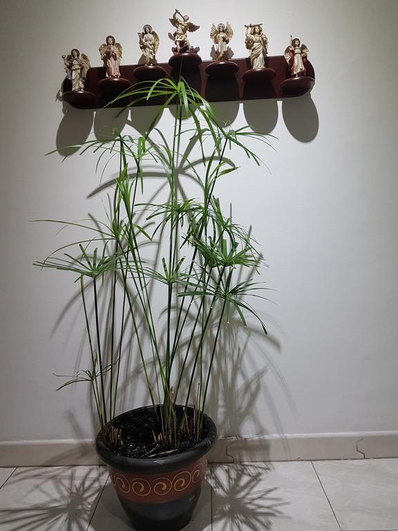 Ferienwohnung Tu Hogar Cerca A La Zona T Bogotá Exterior foto